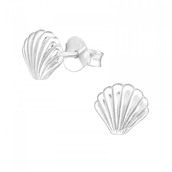 Shell Ear Studs