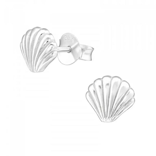 Shell Ear Studs